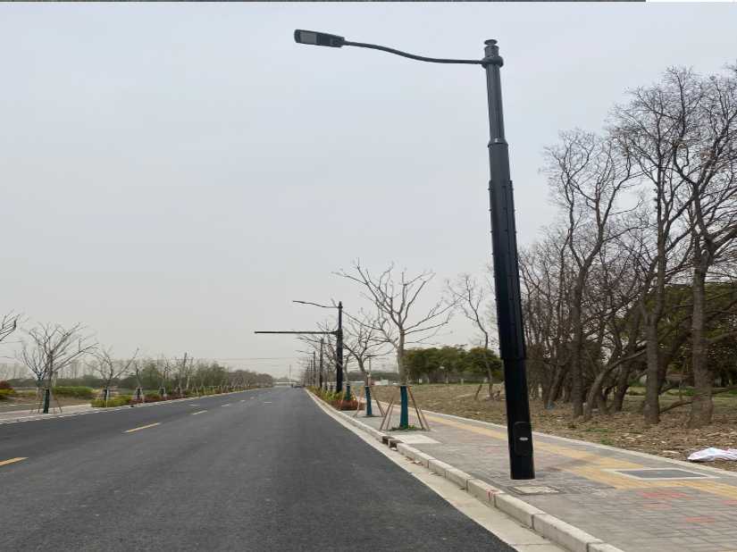 安岳县上海综合杆 太阳能路灯工程